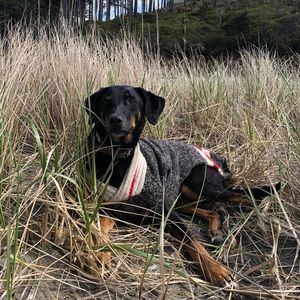 Meet your Posher, Luci